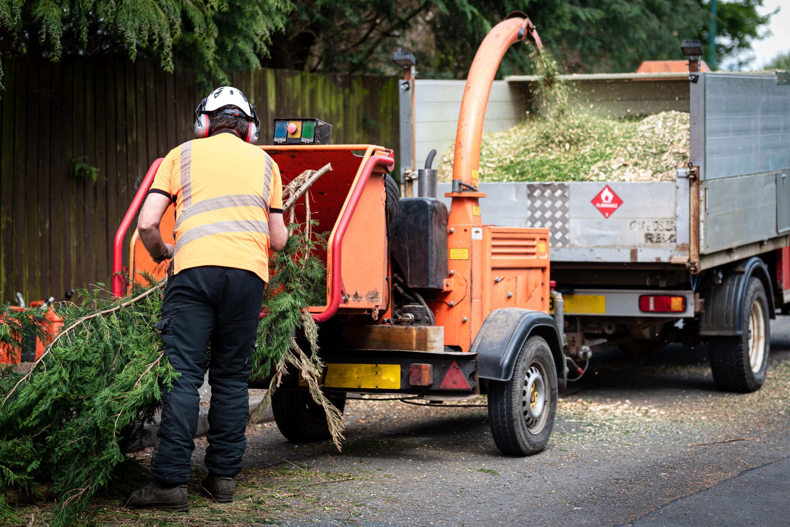 Tree Stump Grinding/Removal Greenwich SE10